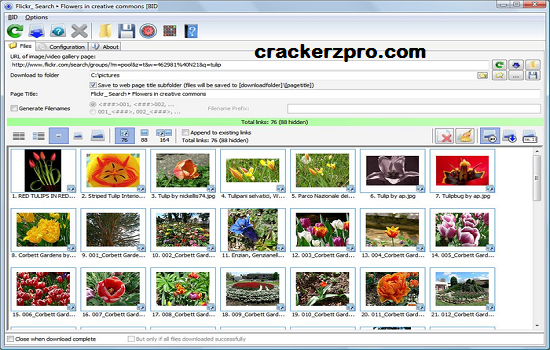 Bulk Image Downloader Crack (2)