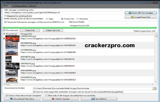 Bulk Image Downloader Crack (3)